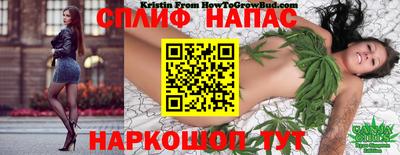 Альфа ПВП Усть-Джегута